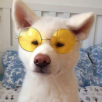 TN Ernie (@mariooktn) 's Twitter Profile