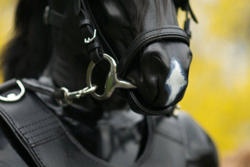 Friendly, kinky horse :)