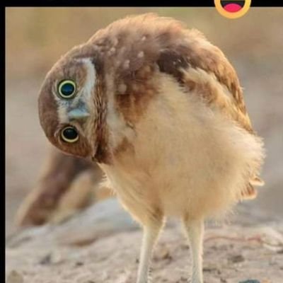 rkarth81's profile picture. 