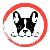 French Bulldog Lovers Club (@frenchie_lover2) 's Twitter Profile