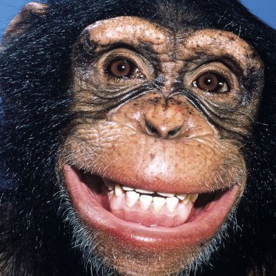 SdadMyself's profile picture. It's like a jungle sometimes, it makes me wonder how I keep from going under