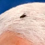 PonySoldier66's profile picture. 