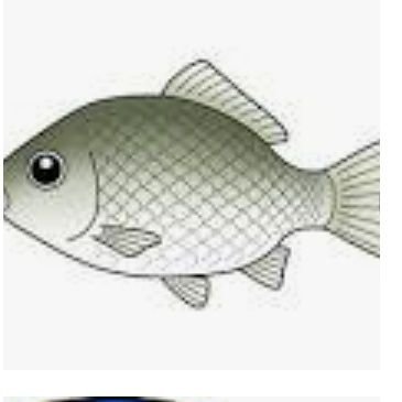 E7rzTt's profile picture. 