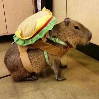 lvdou1267361's profile picture. 双向情感障碍 （我很讨厌废话）