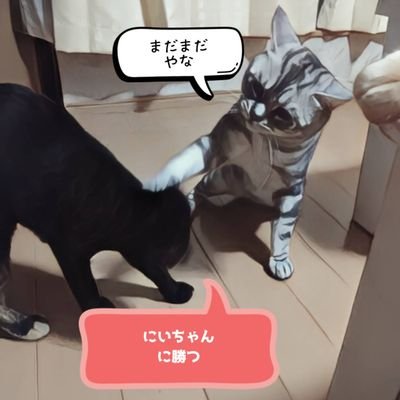 猫、アニメ、ゲーム大好きです🥰

うちの家族
ヒデ(茶トラ♂)
ハイド（黒♂)
ヤス(アメショー♂)
プニ(黒×キジ♀)

今好きなアニメ
推しの子
ガンダム水星の魔女
リコリコ
ぼっち・ざ・ろっく！
地獄楽
僕ヤバ
わたしの幸せな結婚
葬送のフリーレン←NEW

🤯←この顔文字何用か教えてくたさい笑