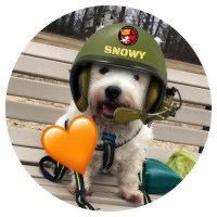 Sergeant in the ZombieSquad protecting the hoomans from the biters. #ZHSQ A Westie boy patrolling #PEI DMs might be ignored (blame the Westitude)