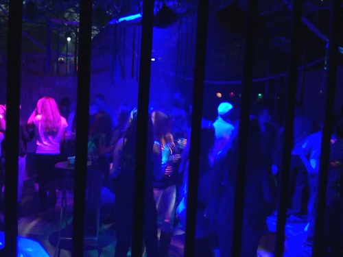 powerbase0174's profile picture. voor uw feesten & club dj's