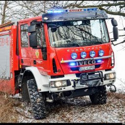 JasiekDzik69876's profile picture. 