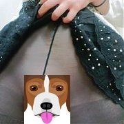 3ケタ近くの舐め犬を体験してきた複数の女子による、舐め犬体験探検記です！！！