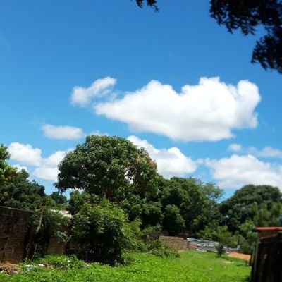 Mariama68968351's profile picture. To God Be The Glory🙏🤍