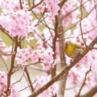 【送料無料】浦井健治さん掲載ページ（ポスターサイズ）#6895 𝓜𝓐𝓨𝓤𝓚𝓐🌶🇬🇧🇫🇷🐬⚔️🪶✨ on X: 