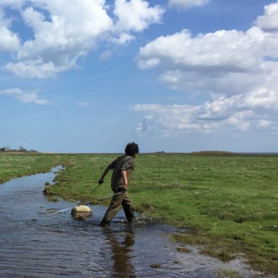 Sr. Research Fellow (in ecohydrology) @TCD_NatSci & @tcdengineering, exploring plant-water-soil interactions with focus on temperate wetlands. Views are my own