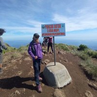 Pejalanlambat (@wiwikwidyaaa) 's Twitter Profile
