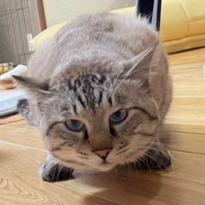 mae_kao826's profile picture. テレビ 芸術 フード 健康 トレンド ライフライン