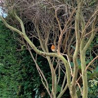 Hyewon Kim (@hyeliot) 's Twitter Profile