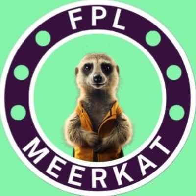 FPLMeerkat Profile Picture