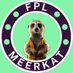 FPL Meerkat (Charlie) (@FPLMeerkat) Twitter profile photo