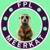 FPL Meerkat (Charlie) (@fplmeerkat) Twitter profile photo FPL Meerkat (Charlie) (@fplmeerkat) Twitter profile photo