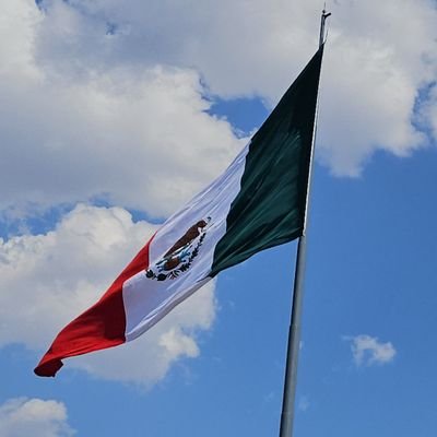 bonitaflaco13's profile picture. 