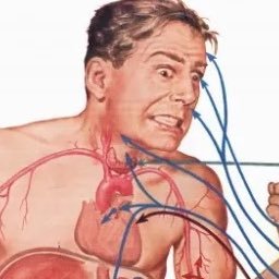 MD, Cardiology Resident, passionate about learning and connecting with peers. Also managing the MedX Community👇