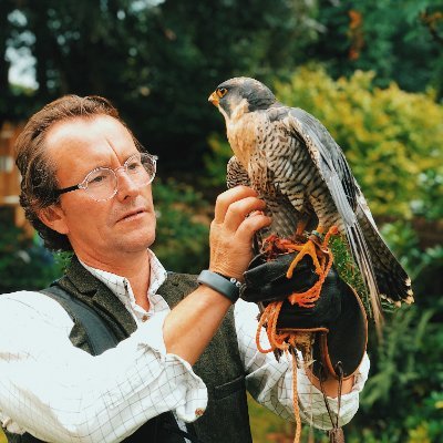 Falconer. Owner of @lakedistrictfalconry.