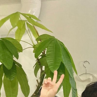 sion🧸しおちゃんさんのプロフィール画像