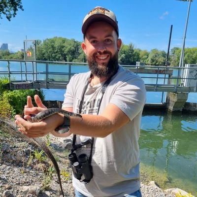 Phd in conservation biology with a focus on #herpetology. I'm a researcher in terrestrial ecology at LNHE EDF R&D.
#amphibians #reptiles #birds #bats