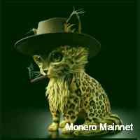 mainnetmoner's profile picture. A firm believer in the disruptive power of defi