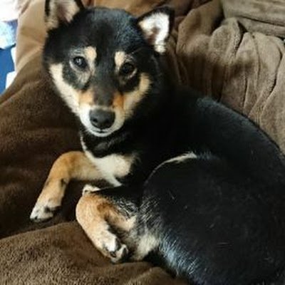 nfiqKUMG4j83399's profile picture. 