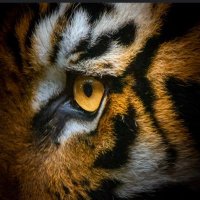 Clay County MBB (@claycountymbb) 's Twitter Profile Photo Clay County MBB (@claycountymbb) 's Twitter Profile Photo