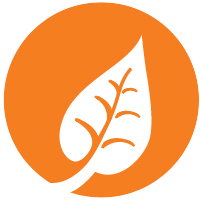 Individual Donor