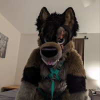 Poly the Werewolf(@PolyTheWerewolf) 's Twitter Profile Photo