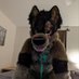 Poly the Werewolf ๐ MFF 2025 (@polythewerewolf) Twitter profile photo Poly the Werewolf ๐ MFF 2025 (@polythewerewolf) Twitter profile photo