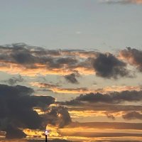 Liz Maslin (@lizcmaslin) Twitter profile photo