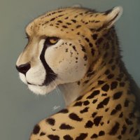 Rajii.bsky.social (@rajii_cheetah) 's Twitter Profile
