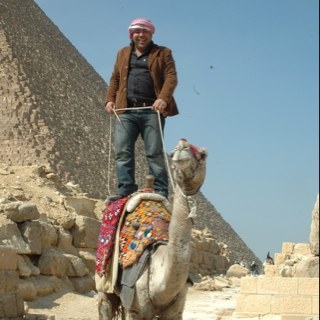 WaledWcarizma's profile picture. 