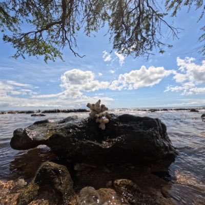 charming_ej's profile picture. A Fool will rush in where angels fear to tread 📣📣