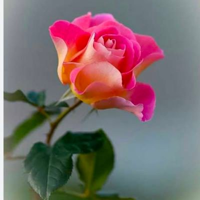 praba00713's profile picture. 