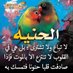 حسبي ربي يكفيني (@wtvrye6p6nplbyb) Twitter profile photo حسبي ربي يكفيني (@wtvrye6p6nplbyb) Twitter profile photo