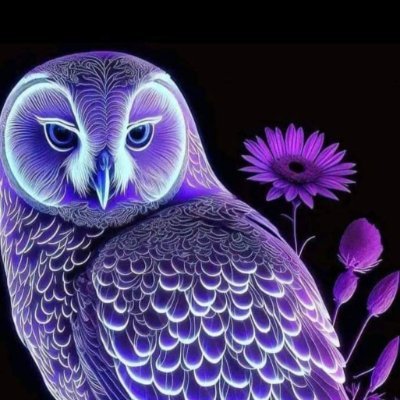 Tabbyowl Profile Picture