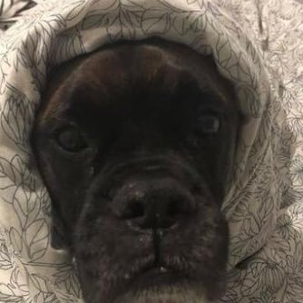 Lena776721's profile picture. 