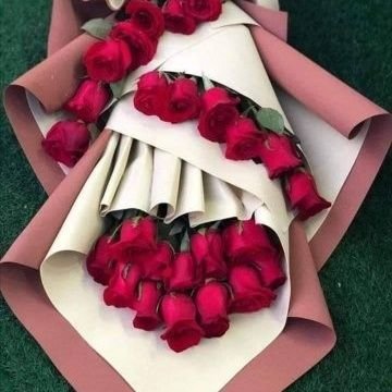 bintaljanu47392's profile picture. 