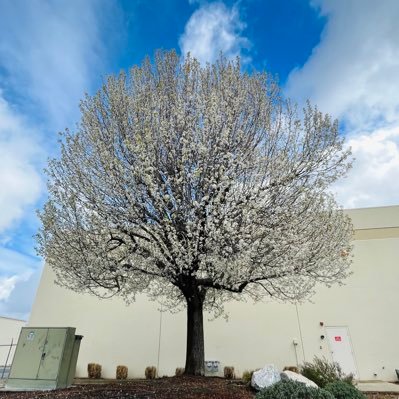 deLmiguel's profile picture. Proverbs 31:25