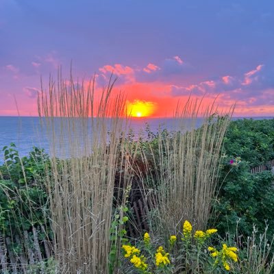 MYPfan22's profile picture. 