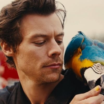 RescuedByHarry Profile Picture