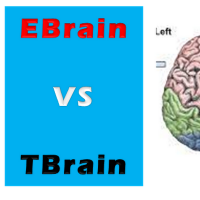 Ebrain vs Tbrain(@EbrainvsTbrain) 's Twitter Profile Photo