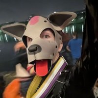Darn_Wolf (@darn_wolf) 's Twitter Profile