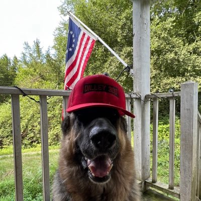 #Trump2024 #Dilley300 #MAGA  
Blue Angels over TN My pic.
Avatar my GSD  Willow Bark 🐕 pinned 
Follow my YouTube for good tunes!