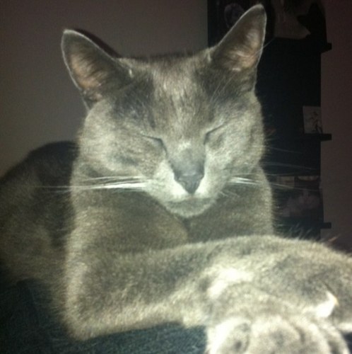 schuuringrid's profile picture. 