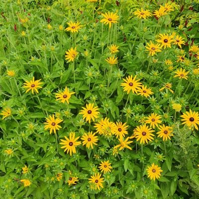 Jakob6969_'s profile picture. https://t.co/NDmaJXmHXS

Go and send to Goddess Mermaid.

I am here to retweet and like in exhange for tasks.